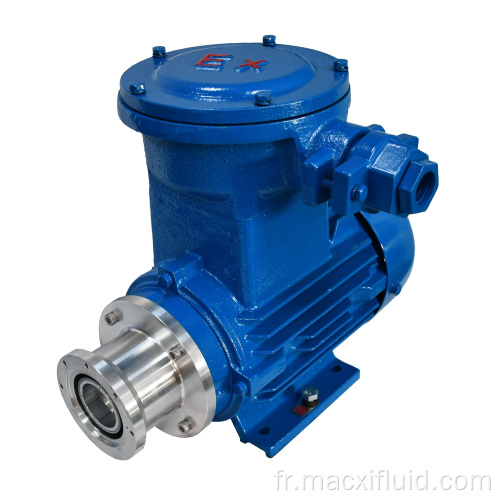 Explosion Proof AC Asynchronous Motor Micro Gear Pump